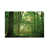 Wrapped Canvas selected