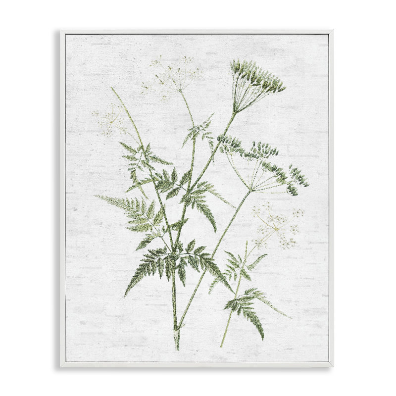 Art de giclée encadrée noire à bourre en douceur par lettré et doublé, Blanc, H 30 po x l 24 po