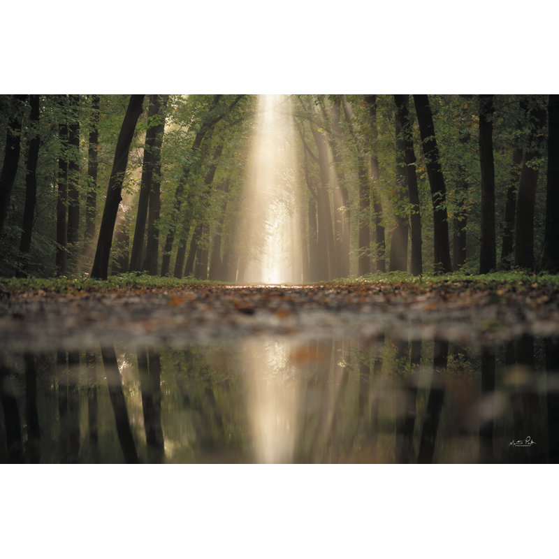 " The Puddle " by Martin Podt, 24" H x 36" W x 1.25"D