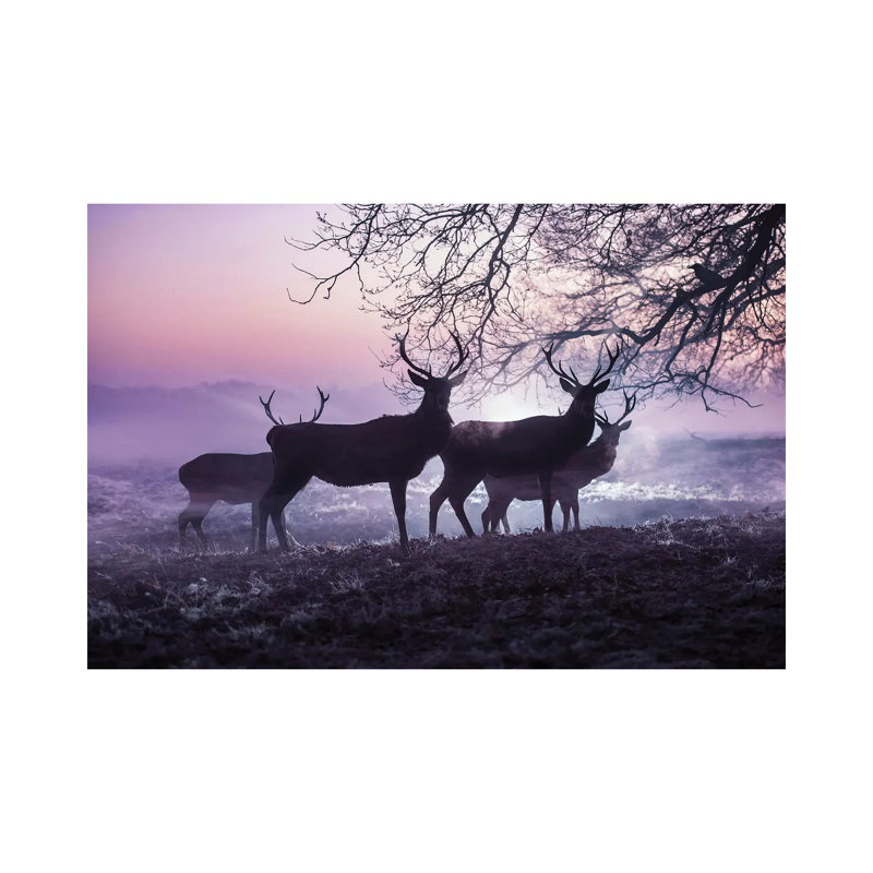 Mystic Mists by Max Ellis - Wrapped Canvas Painting, 66.04 cm H x 45.72 cm W x 3.175 cm D