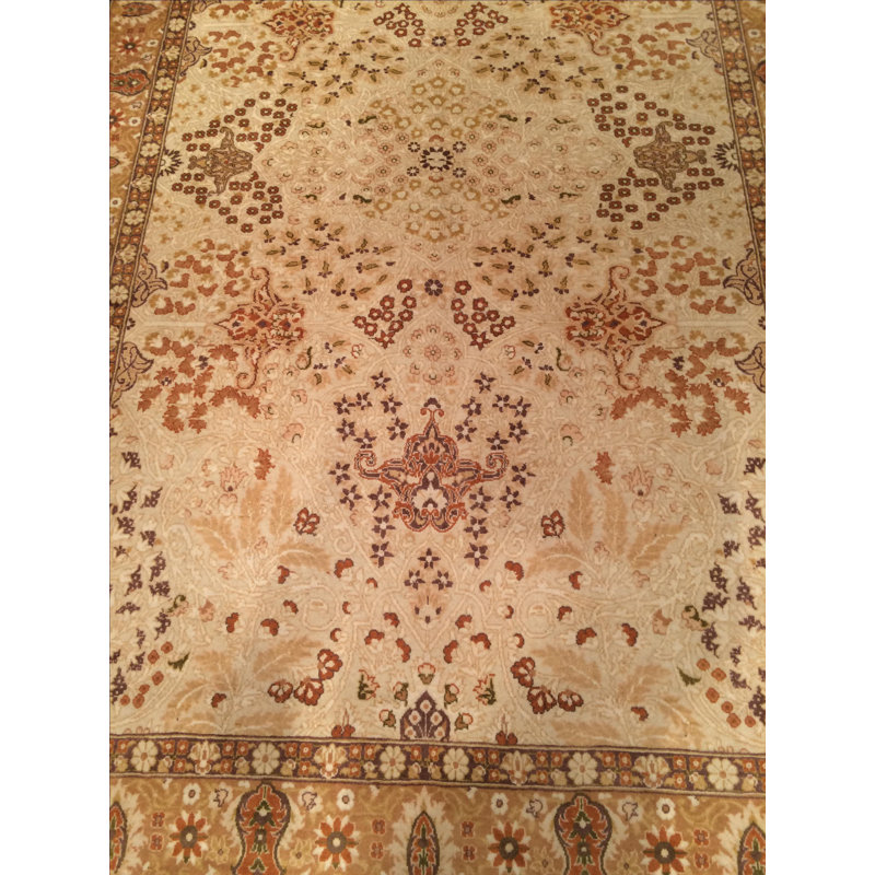 Oriental Area Rug in Beige