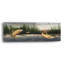 Art mural en verre acrylique Beachcrest Home ™ «Northwoods Trout» par David Carter-1590318441