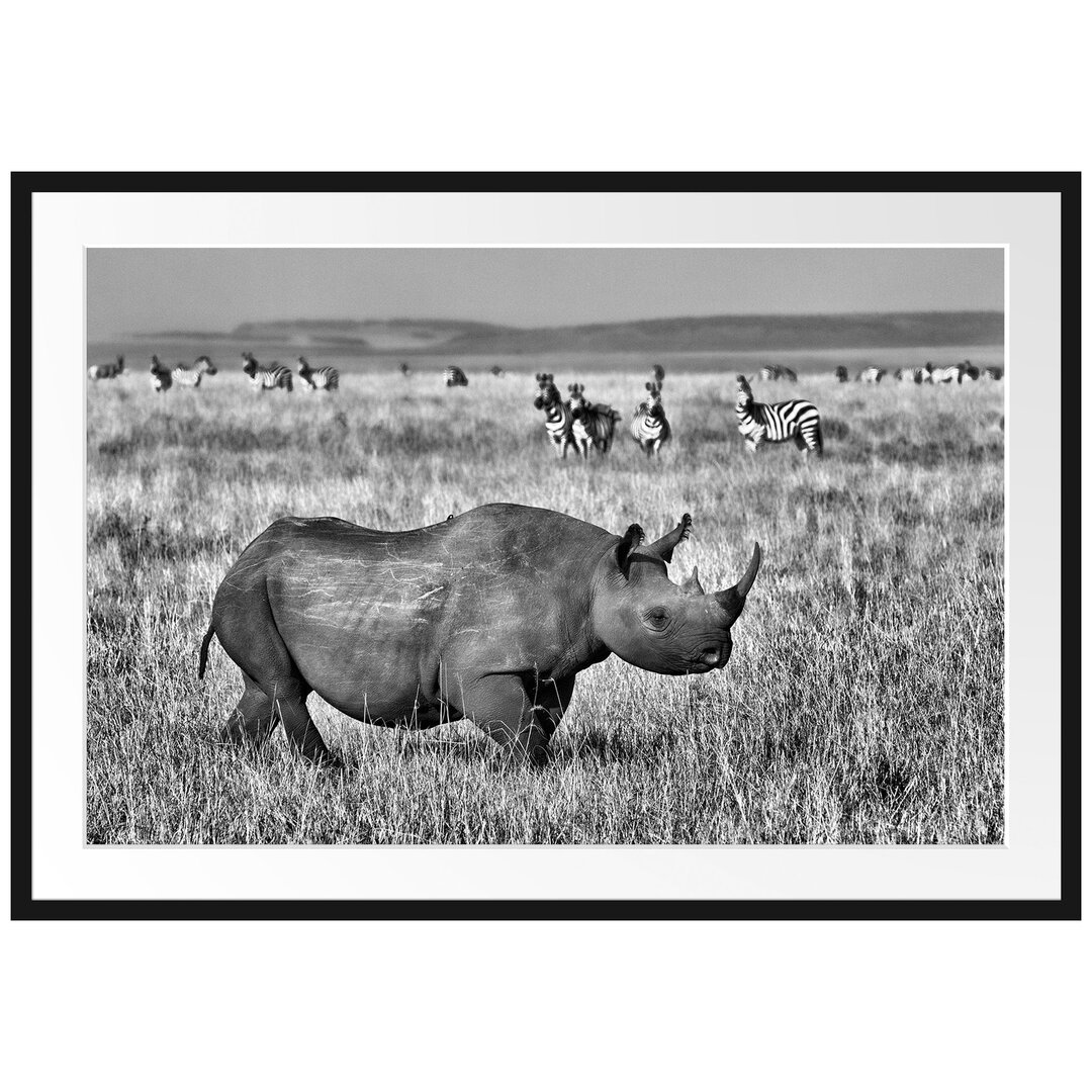 Gerahmtes Poster Großes Nashorn mit Zebrahorde