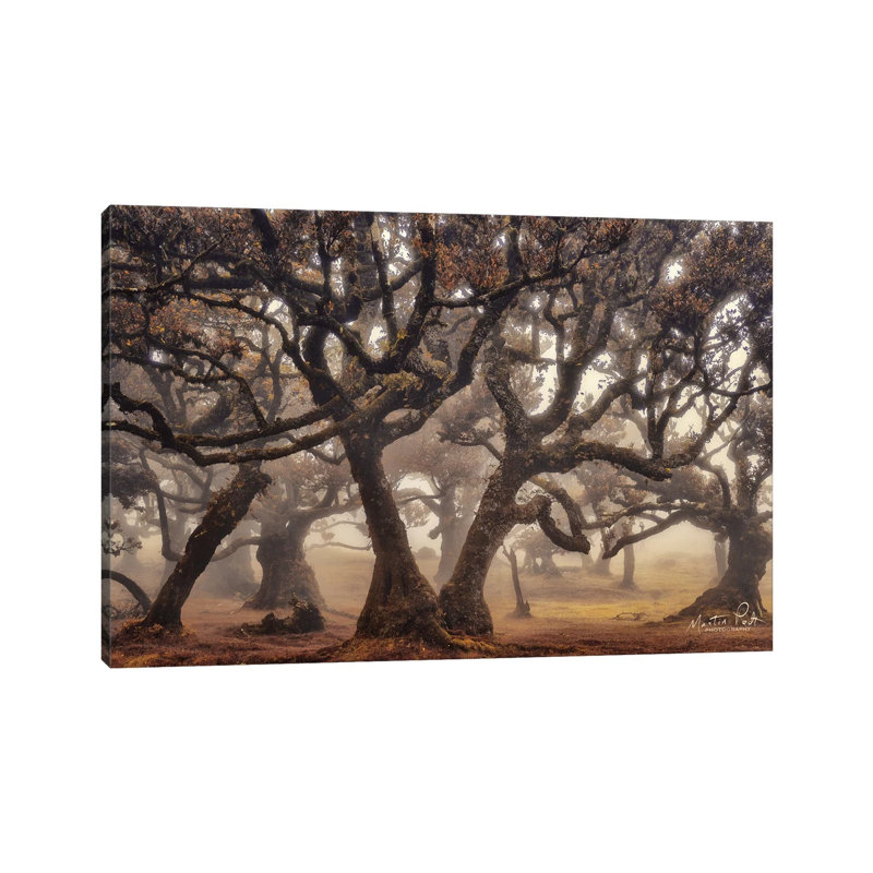 The Hidden Truth by Martin Podt - Wrapped Canvas Print, 20.32cm H x 30.48cm W x 1.91cm D