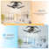 Bella 22'' Reversible LED Ceiling Fan with Dimmable Light and Remote