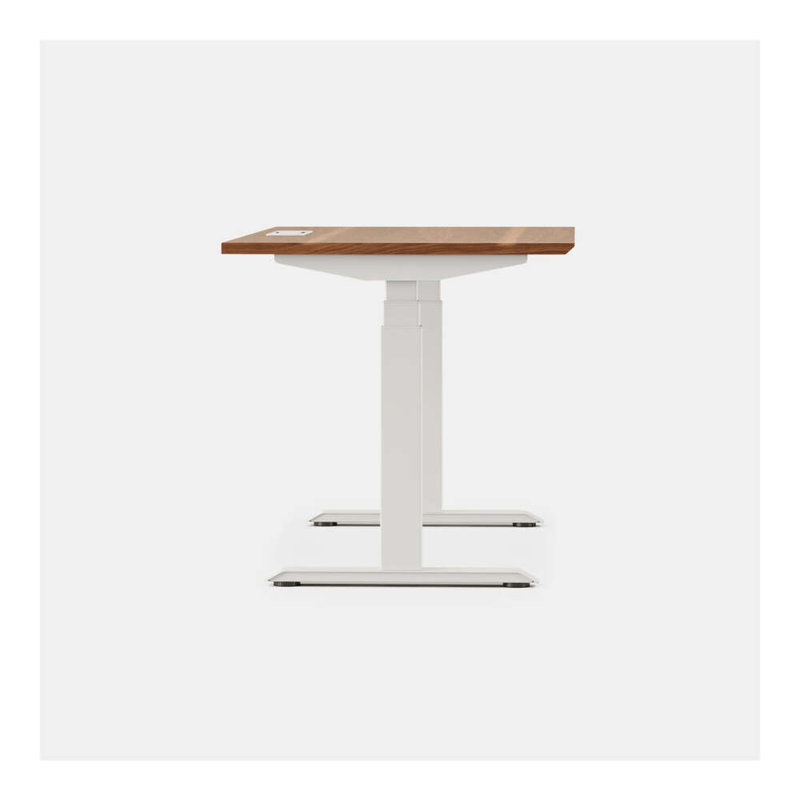 Standing Desk, 52" H x 60" W x 30" D, White, Walnut