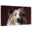 Adorable Sheltie Dog-631611959