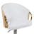 Burdett Swivel Adjustable Height Bar Stool
