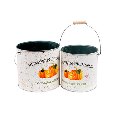 Amaurie Metal Pot Planter