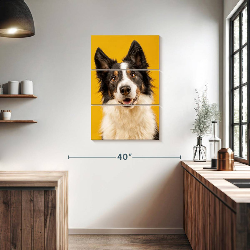 Brampt Adorable Border Collie, 38" H x 24" W