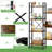 Quach 71.6" H x 57.8"W Etagere Bookcase-281679482