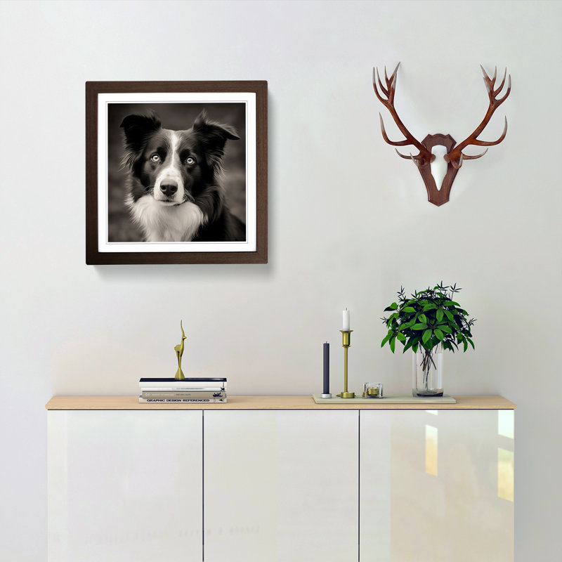 Border Collie Photograph No.2 - Framed Print, Walnut