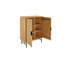 Janasha 2 - Door Standard Accent Cabinet