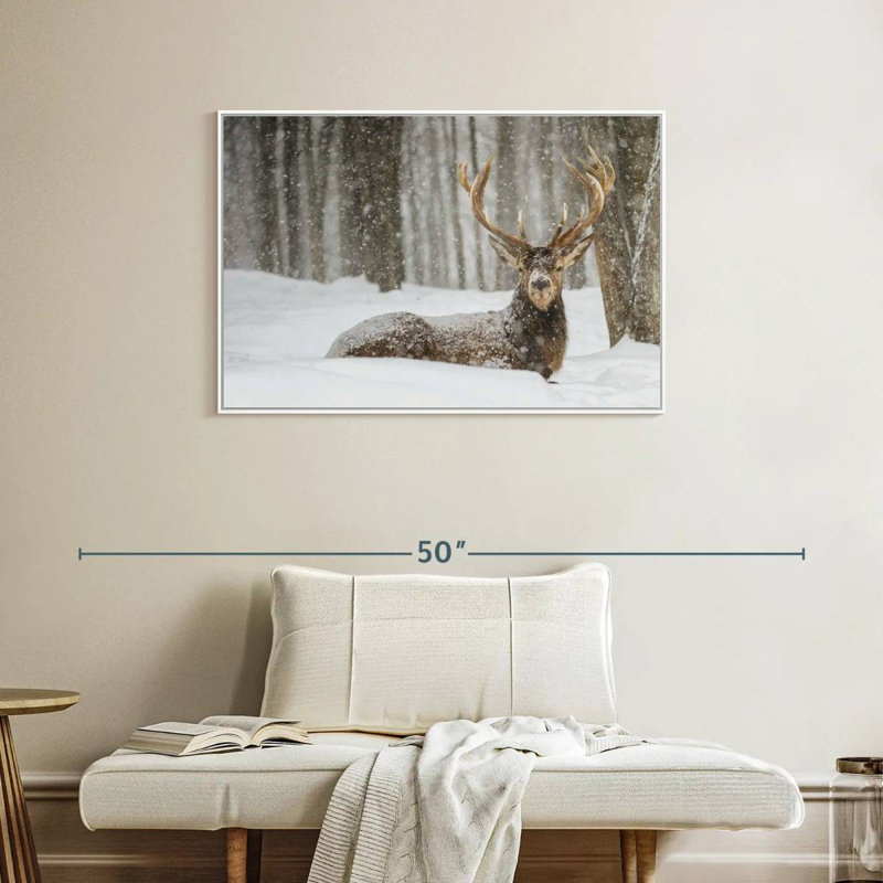 Wapiti recouvert de neige, Cadre flottant blanc, 37 po x 25 po