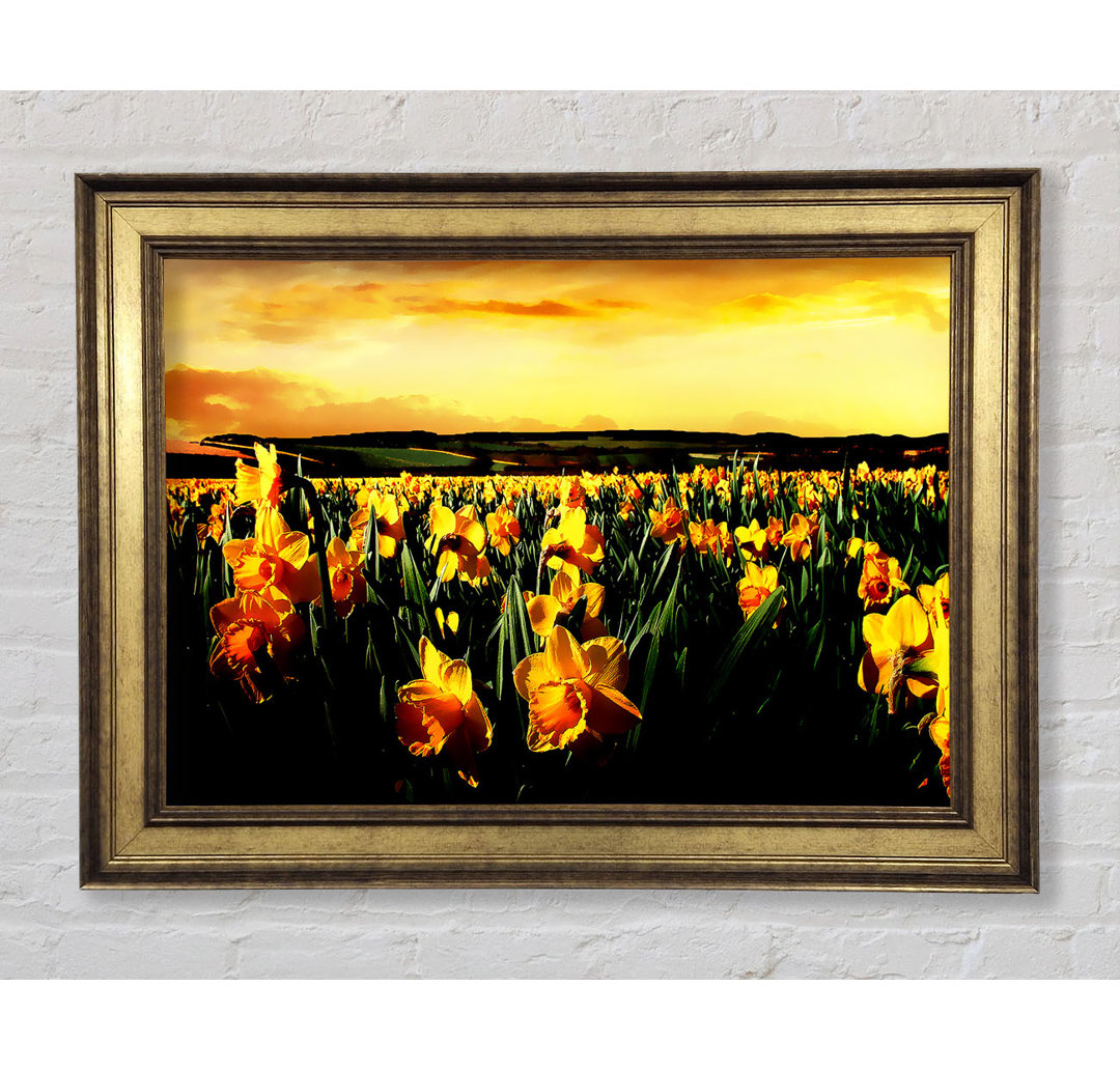 Field of Golden Daffodils - Bilderrahmen Kunstdrucke