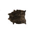 Chocolat/Cuivre
