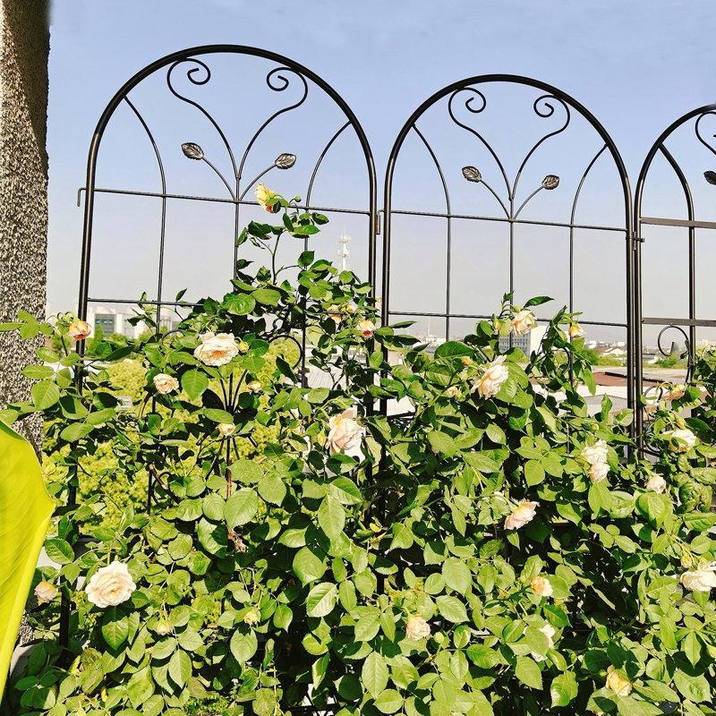 Paquet de 4 treillis de jardin en métal 86,7 "x 19,7" antirouille pour plantes grimpantes support de fleurs extérieur noir