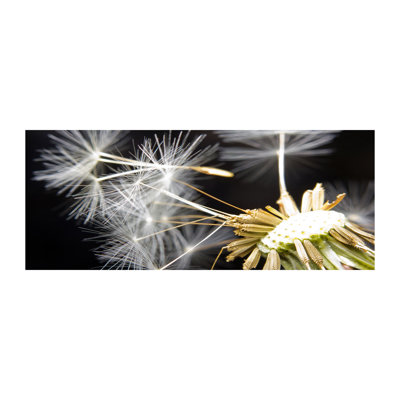 Dandelion Seeds - Print