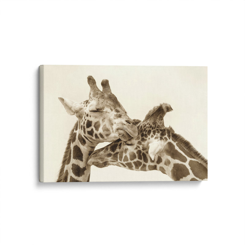 Wrapped Canvas Print, 32" H x 48" W x 1.25" D