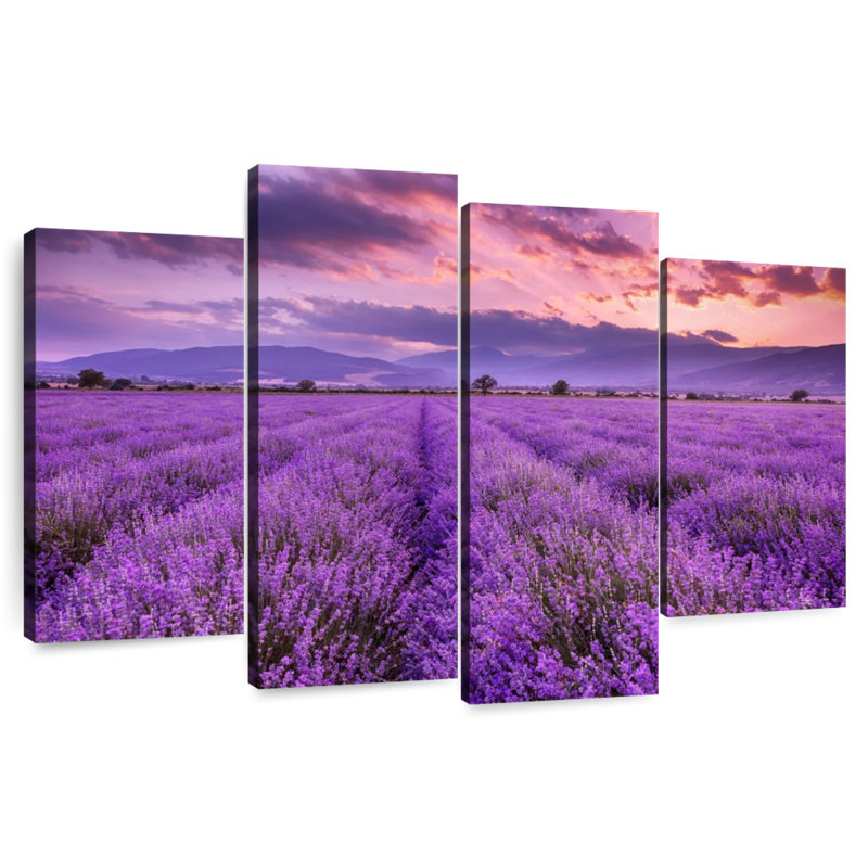 Alvord Lush Lavender Field, 42" H x 68" W