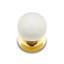 CK Series 1 1/4" Diameter Round Knob-773300628-773300625
