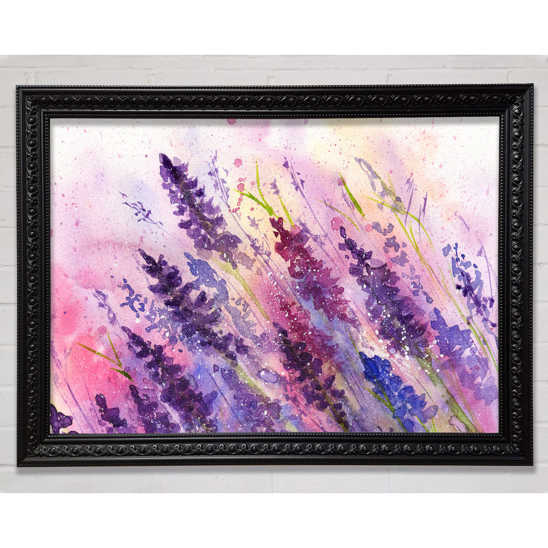 Gerahmtes Leinwandbild Lavender Colour Splash