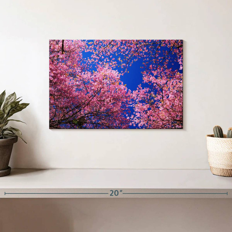 Harnek Cherry Blossom Heaven