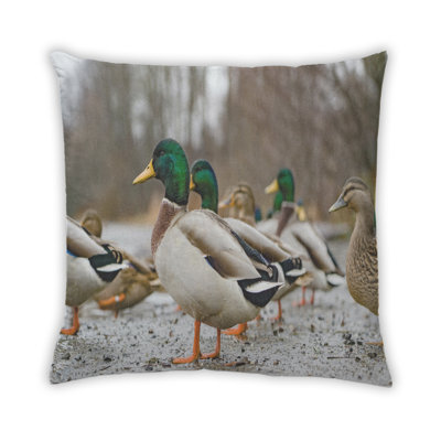 Coussin 5 animaux