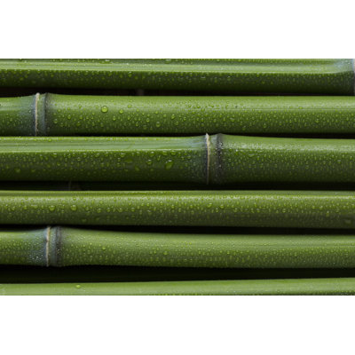 Bamboo Sticks Background by Aleaimage