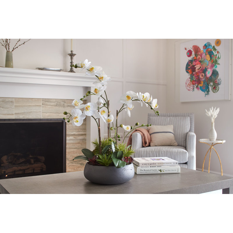 Orchidée FLORAL 24 po avec plantes grasses