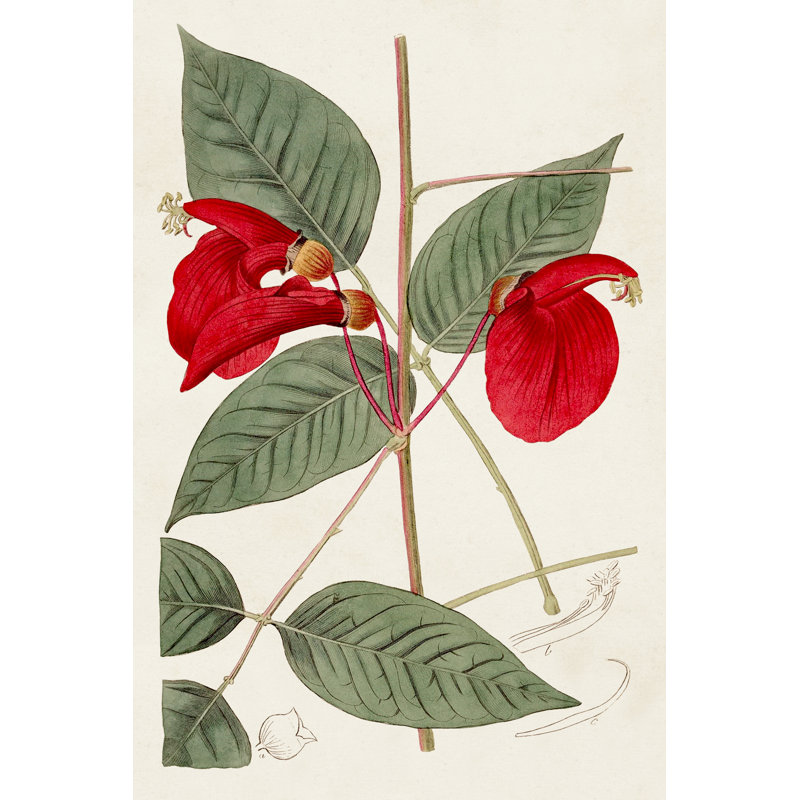 Flora of the Tropics II - Painting, 76 cm H x 51 cm W, Wrapped Canvas