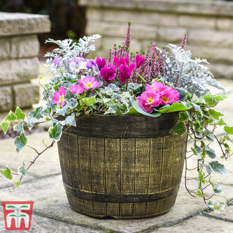 Wentzville Plant Pot Whiskey Barrel (x5)