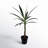 Artificial Green Yucca Tree-657066114
