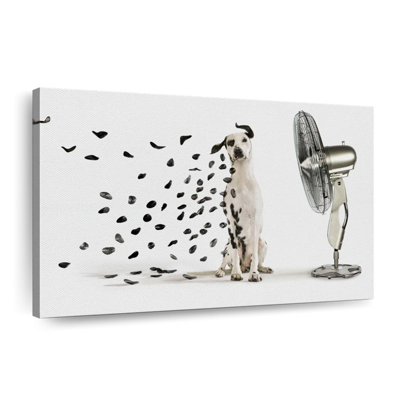 Windblown Dalmatian Spots Canvas Print, 24" H x 16" W x 1.25" D