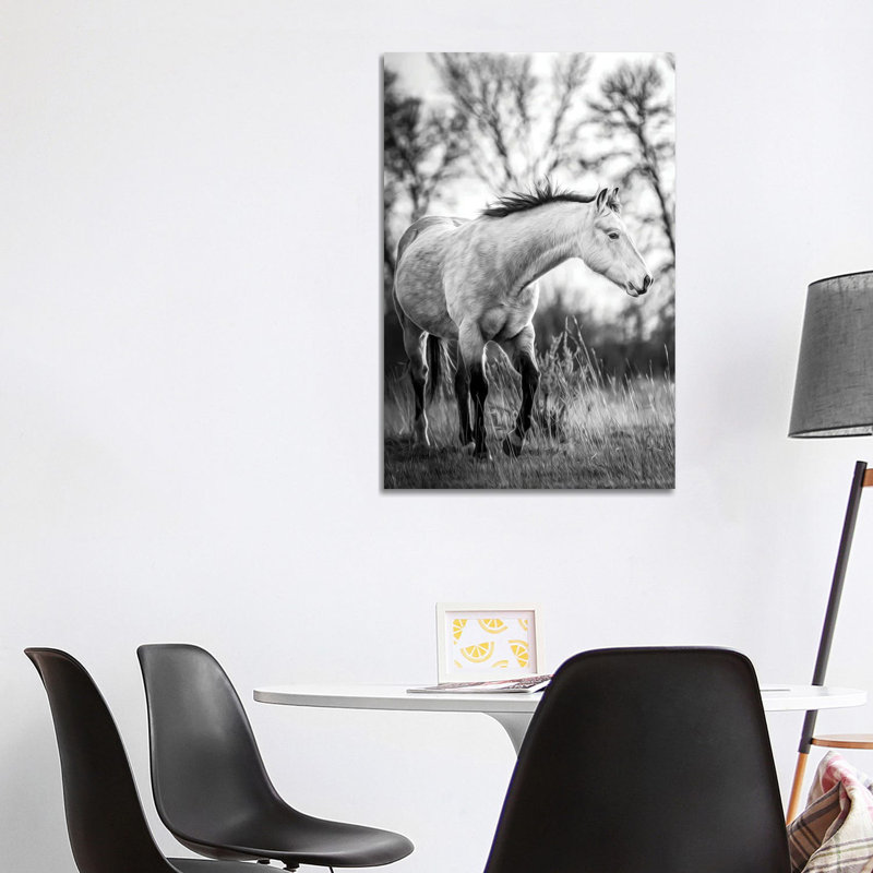 Grey Horse Portrait Black And White by Nik Rave - Wrapped Canvas Gallery-Wrapped Canvas Giclée