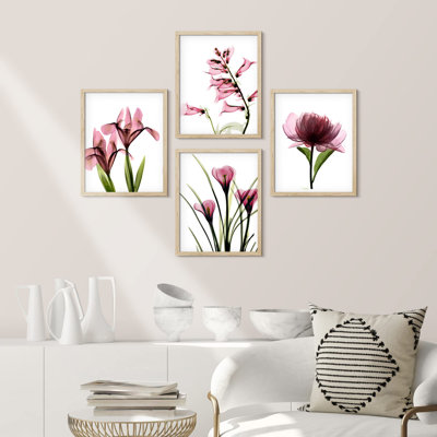 Radiographie de fleurs botaniques roses en gros plan sur papier, impression de 4 pièces