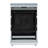 Equator Advanced Appliances Standalone 24" 2.4 Cubic Feet Ceramic burner Electric Free Standing Convection Range-100527841