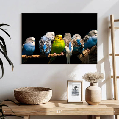 Budgerigars On A Rope