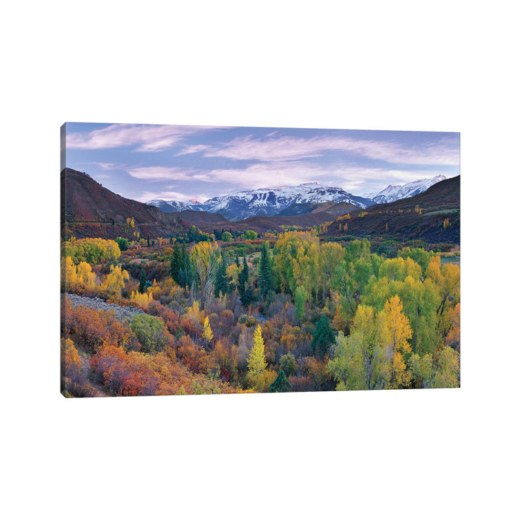 Quaking Aspen Forest In Autumn, Snowmass Mountain Near Quaking Aspen, Colorado by Tim Fitzharris - Wrapped Canvas Print