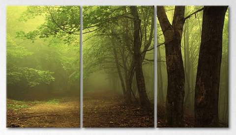 3 Piece Wrapped Canvas Print