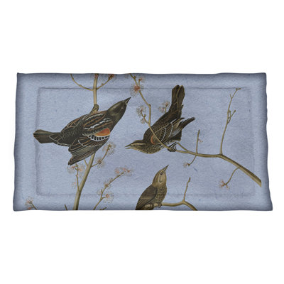 Taie décorative John James Audubon