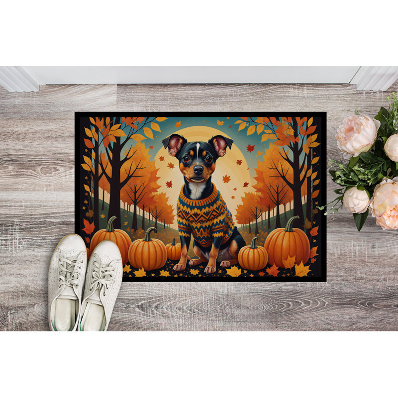Chancy Non-Slip Doormat, 24" W x 36" L