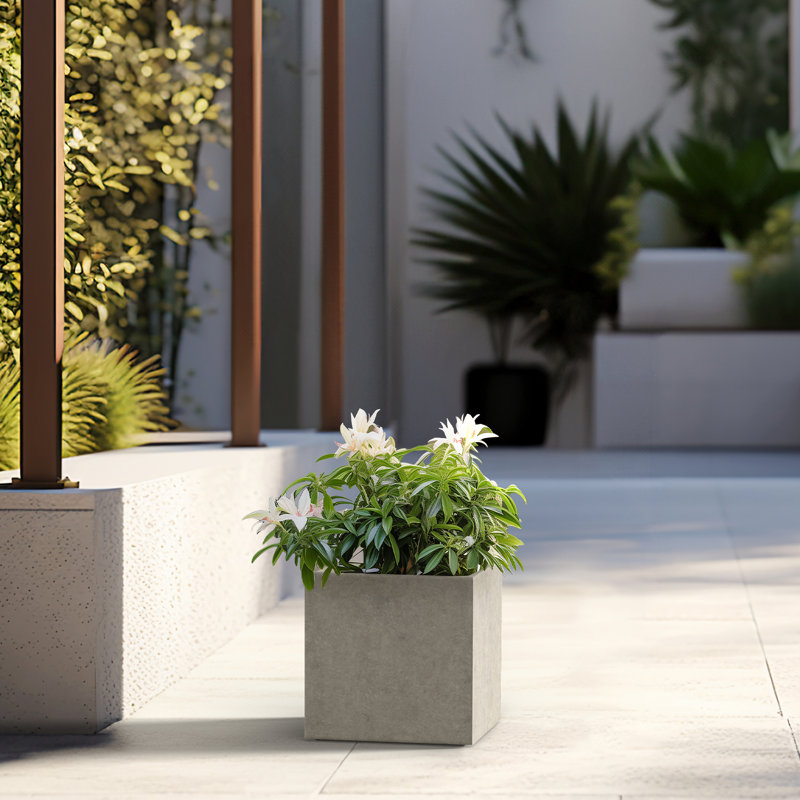 Boîte à fleurs en béton Redegonda, H 10 po x l 10 po x P 10 po, Jaune pâle