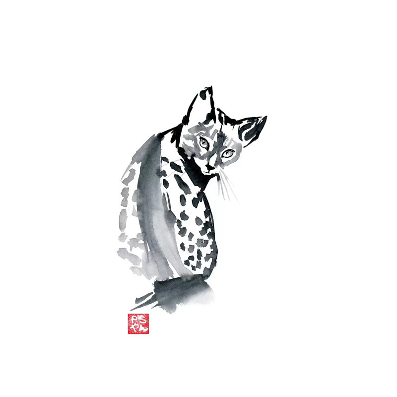 Leopard Cat by Péchane - Print on Canvas, Wrapped Canvas, 30.48 cm H x 45.72 cm W