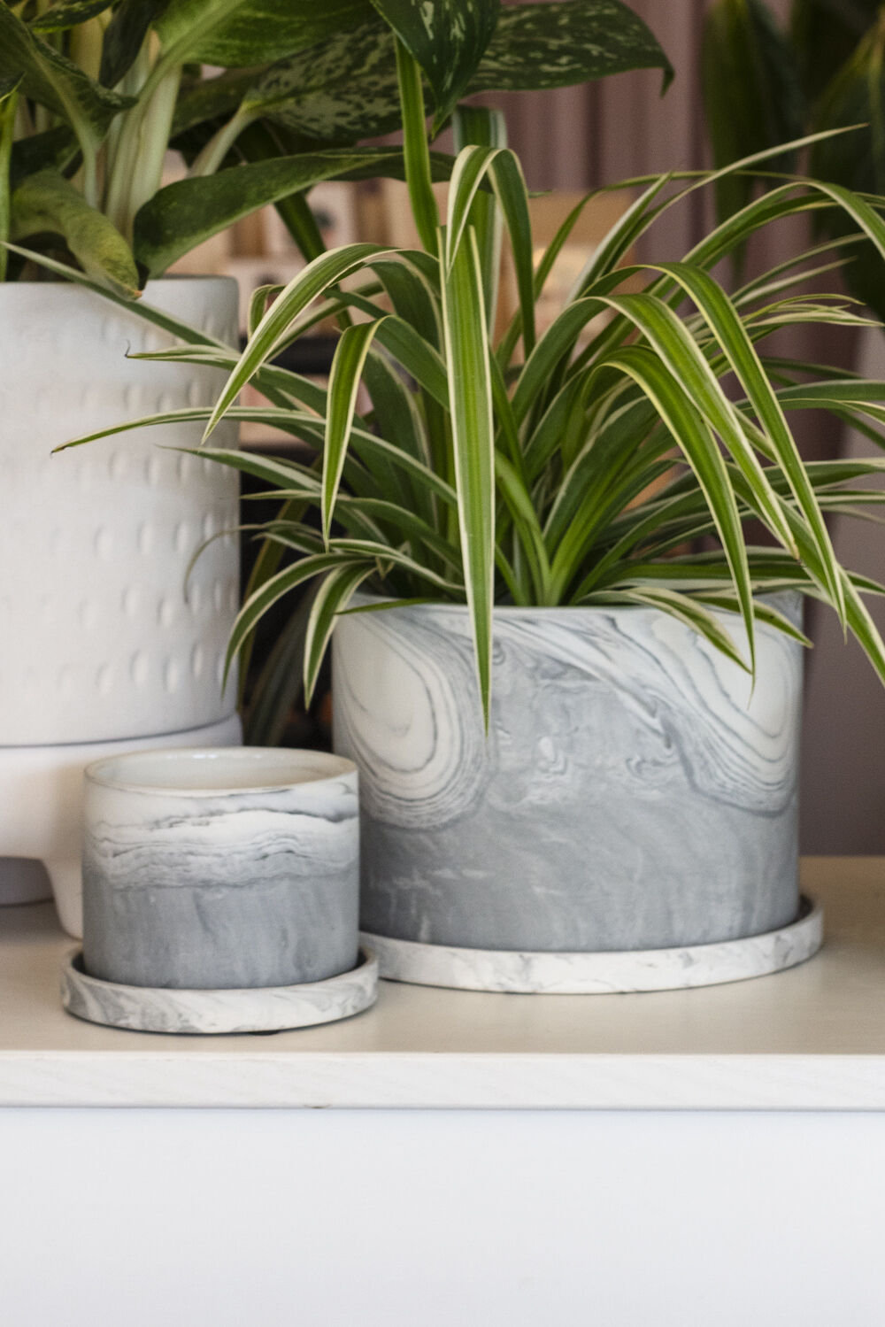 6" Ceramic Pot Planter