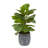 45cm Faux Ficus Tree in Ceramic Pot