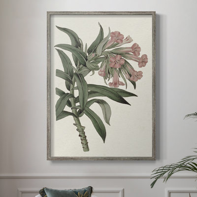 Pink Floral Mix VI Framed Print - Solid Wood