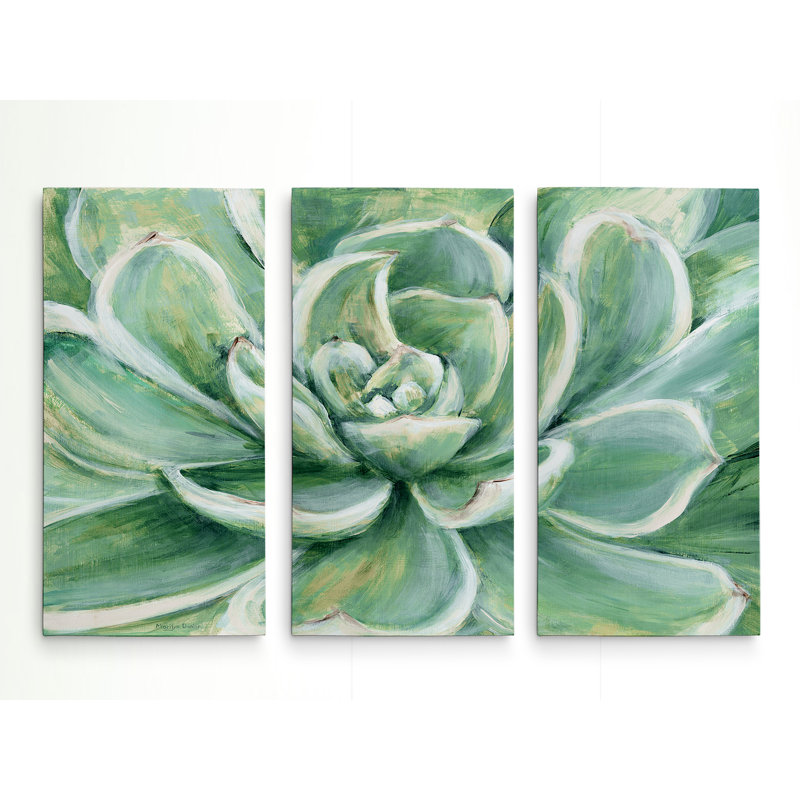Succulent - 3 pièces, reproduction sur toile tendue, H 24 po x l 36 po x 1,5 po