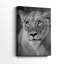 Portrait de lionne - galerie Cavas-108828361