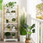 Rustic 5-Tier Bookshelf With Removable Storage Baskets - Heavy Duty Metal Frame-98402738